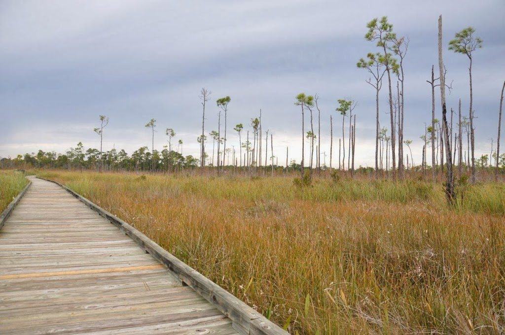 Northshore Trails: Big Branch Marsh