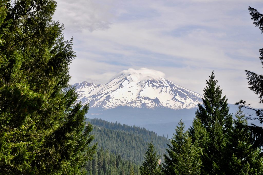 View of Mt. Shasta, one of northern California's volcanoes
